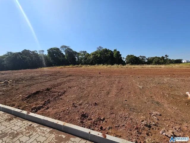 Terreno, foto 5