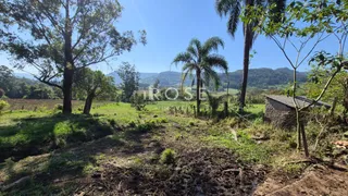 Área rural com 3 dormitórios, foto 4