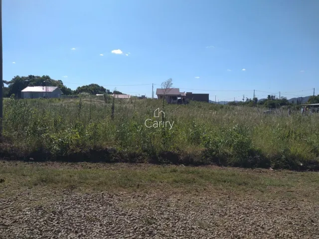 Terreno, foto 3