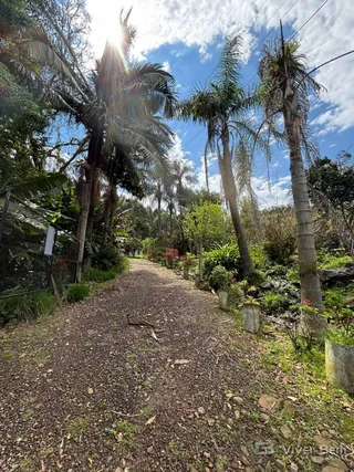 Área rural com 2 dormitórios, foto 8