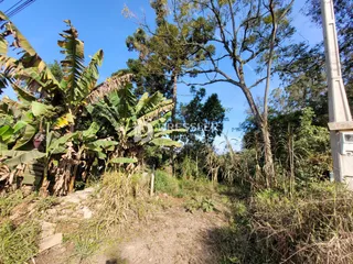 Área rural, foto 4