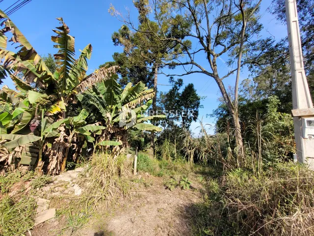 Área rural, foto 4