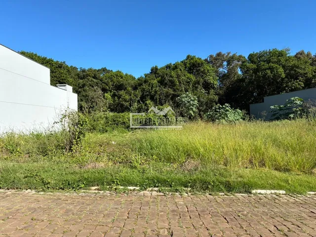 Vista externa de uma propriedade com grama alta e vegetação densa.
