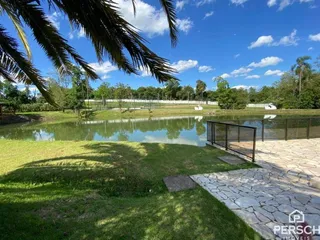 Terreno, foto 6