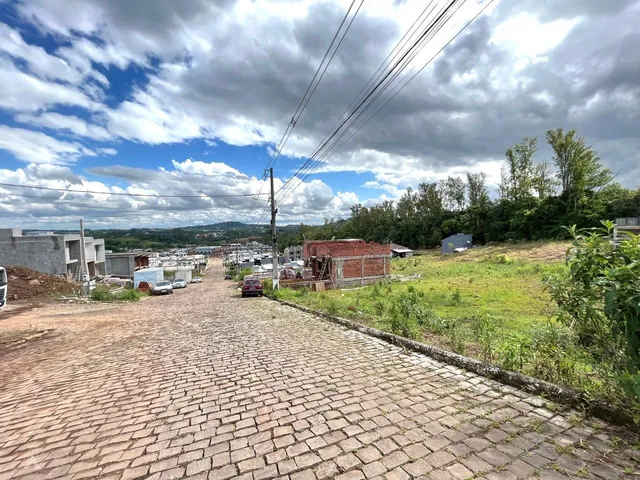 Terreno, foto 2