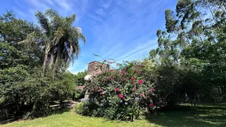 Área rural com 3 dormitórios, foto 10