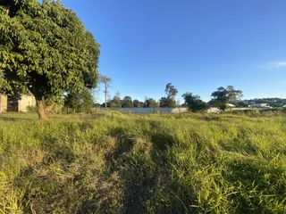 Vista externa de um terreno com vegetação alta sob um céu azul claro.