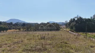 Campo aberto com vegetação seca e árvores ao fundo.
