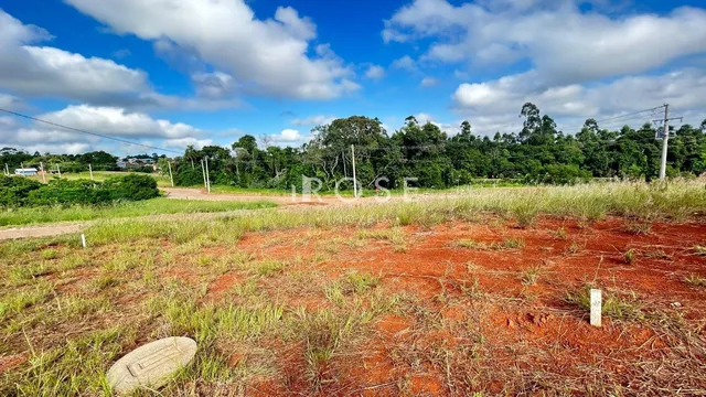 Terreno, foto 2