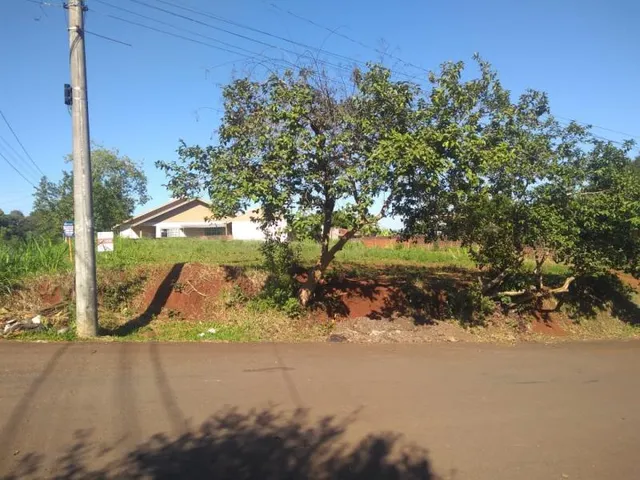 Terreno, foto 2