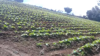 Área rural com 1 dormitório, foto 2