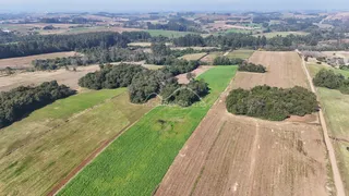 Vista aérea de campos e áreas verdes em uma propriedade rural em Lajeado.