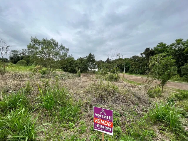 Terreno, foto 4