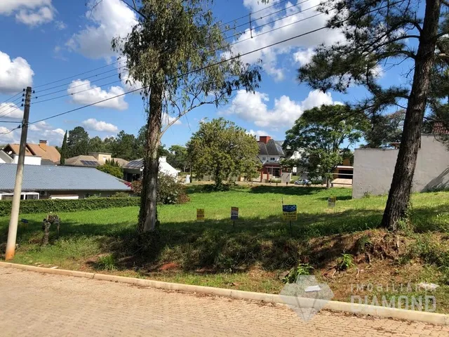 Terreno, foto 2