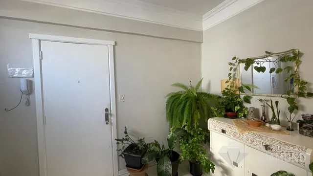 Apartamento com 3 dormitórios, foto 5