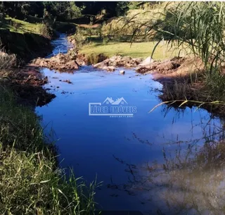 Vista de um riacho e vegetação ao ar livre em Lajeado, Brasil.