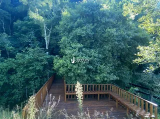 Deck de madeira ao lado de uma floresta densa.