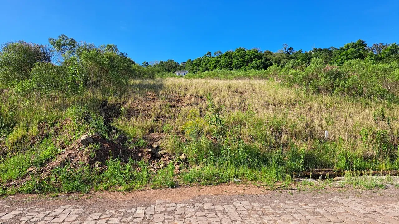 Terreno, foto 1