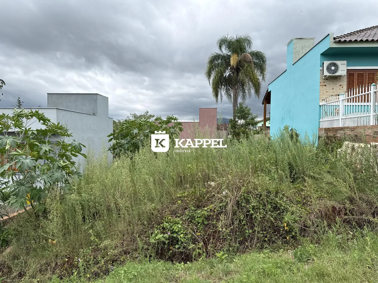 Vista externa de uma propriedade com vegetação densa no primeiro plano e edifícios ao fundo.