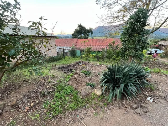 Área rural com 3 dormitórios, foto 4