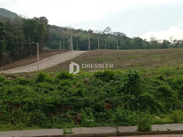 Terreno, foto 3