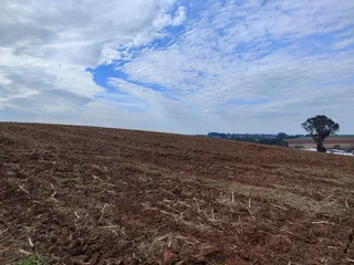 Terreno, foto 6