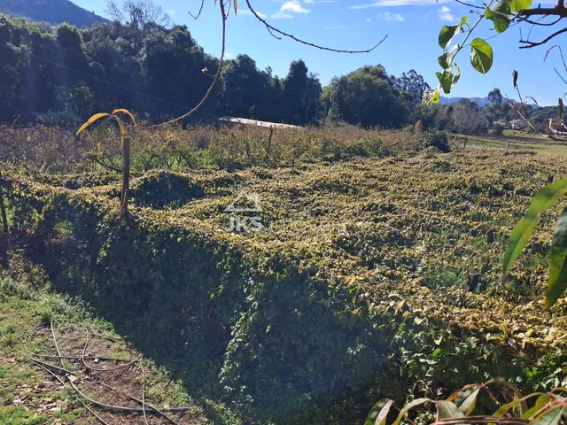 Área rural com 4 dormitórios, foto 5