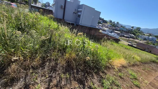 Terreno, foto 5