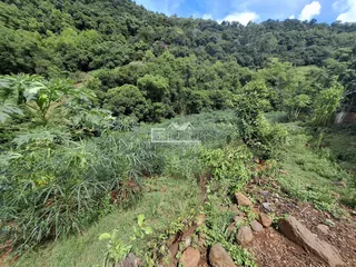 Área rural, foto 16