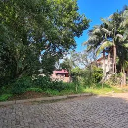 Foto da área externa com vegetação e piso de tijolos.