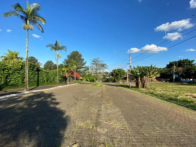 Vista da propriedade com vegetação e estrada sob um céu azul.