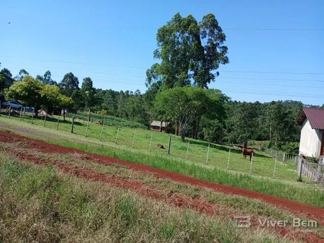 Terreno, foto 3