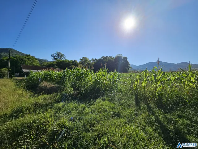 Terreno, foto 2