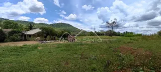 Vista externa de um terreno com grama e vegetação exuberante.