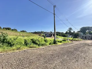 A foto mostra uma estrada de terra com vegetação alta em frente a construções ao fundo.