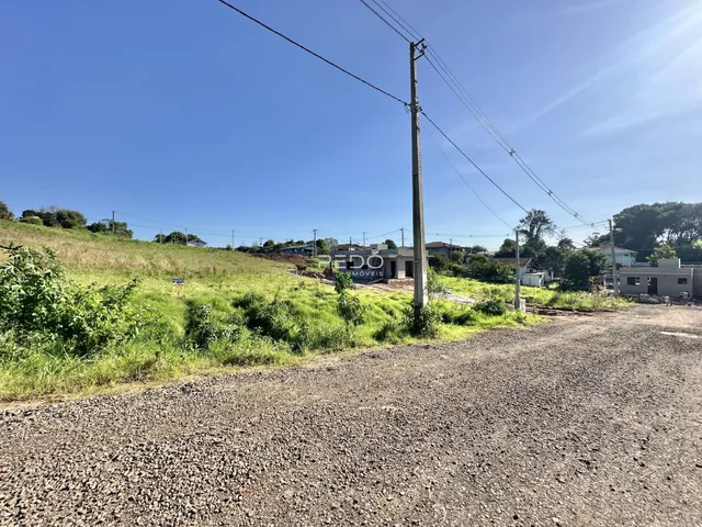 A foto mostra uma estrada de terra com vegetação alta em frente a construções ao fundo.