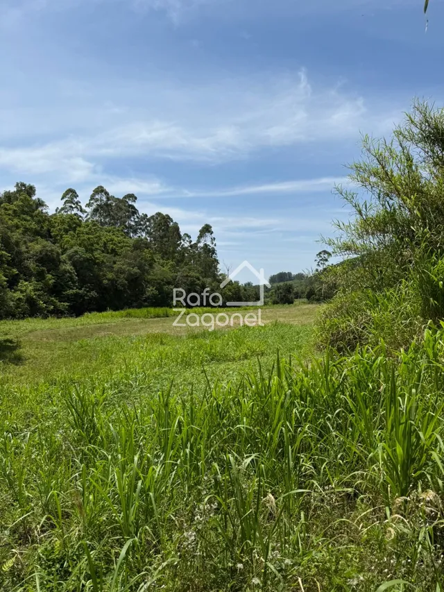 Área rural, foto 3
