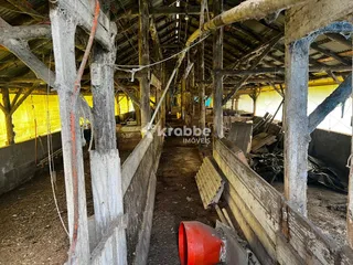 Terreno, foto 8