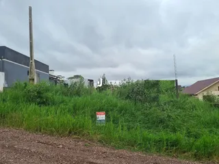 Paisagem de terreno com vegetação alta e estrada de terra.