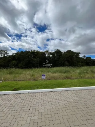 Terreno, foto 20