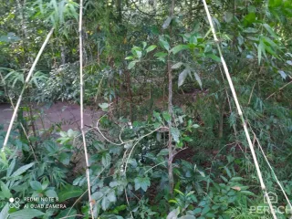 Área rural, foto 8