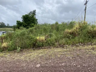 Terreno, foto 3