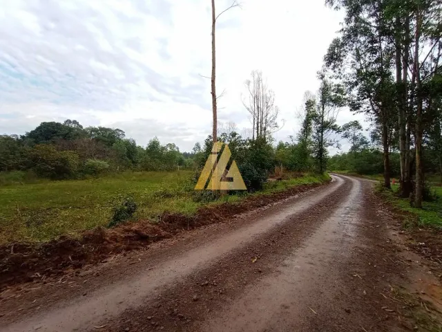 Área rural, foto 3