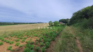Área rural com 3 dormitórios, foto 8