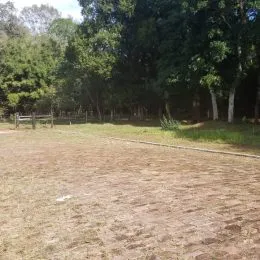 Área externa com grama seca e árvores ao fundo.