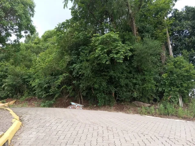 Terreno, foto 2