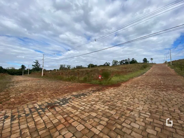 Vista de uma estrada pavimentada em uma área de vegetação.
