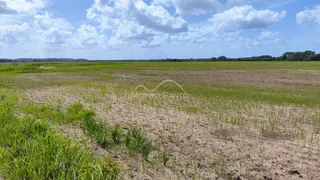 Vista de um campo aberto com vegetação rasteira sob um céu parcialmente nublado.