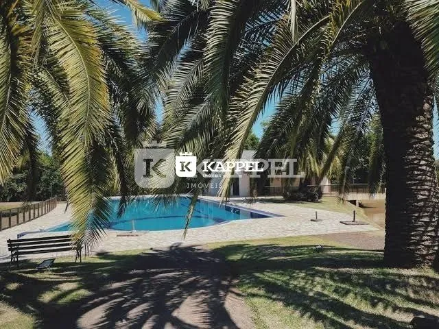 Vista externa de uma piscina com palmeiras e gramado em Lajeado.