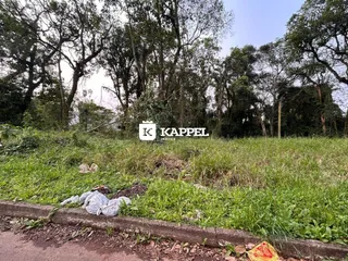 Vista externa de um terreno com vegetação alta e grama.